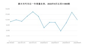 嘉兴市8月汽车销量统计 哪吒V排名第一(2022年)