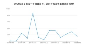 2022年8月电动屋YOUNG光小新销量多少？ 在自主车中排名怎么样？