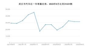 武汉市9月汽车销量 Model Y排名第一(2022年)