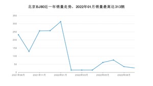 2022年9月北京BJ80销量数据发布 共卖了27台