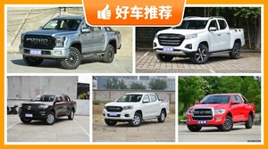 11万左右的皮卡排行榜，要性价比还是要口碑？购车指数告诉你