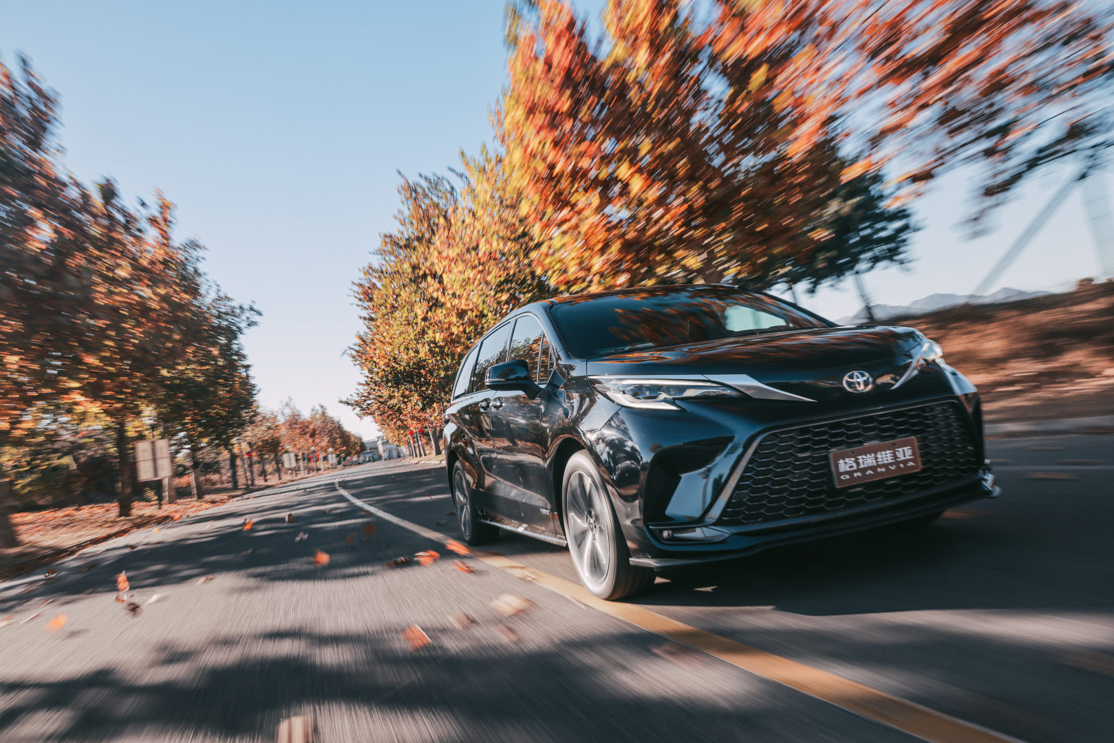 抢先体验一丰格瑞维亚   福祉版车型是最大亮点