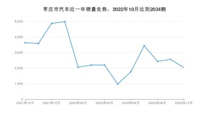 枣庄市10月汽车销量数据发布 海豚排名第一(2022年)