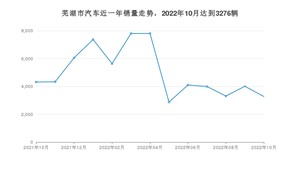 芜湖市10月汽车销量数据发布 小蚂蚁排名第一(2022年)