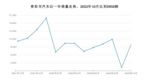 贵阳市10月汽车销量统计 海豚排名第一(2022年)