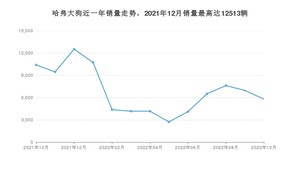 2022年10月哈弗大狗销量多少？ 在哪个城市卖得最好？