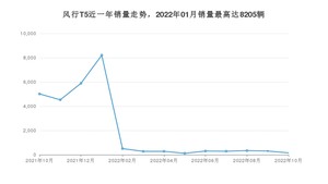 2022年10月东风风行风行T5销量多少？ 在哪个城市卖得最好？