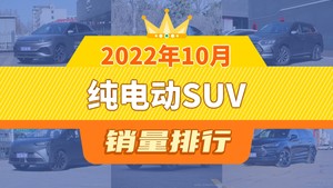 2022年10月纯电动SUV销量排行榜，Model Y位居第二，第一名你绝对想不到