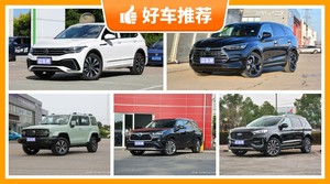 31万左右的SUV排行榜，途观L动力，油耗表现最优秀