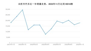 合肥市11月汽车销量数据发布 Model Y排名第一(2022年)