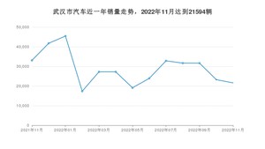 武汉市11月汽车销量 Model Y排名第一(2022年)