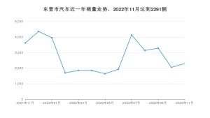 东营市11月汽车销量数据发布 哪吒V排名第一(2022年)