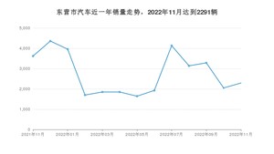 东营市11月汽车销量数据发布 哪吒V排名第一(2022年)