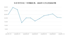 11月长沙市汽车销量情况如何? Model Y排名第一(2022年)