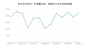 11月杭州市汽车销量数据统计 Model Y排名第一(2022年)