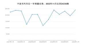 11月宁波市汽车销量数据统计 Model Y排名第一(2022年)