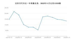 沈阳市11月汽车销量数据发布 Model Y排名第一(2022年)