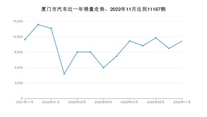 厦门市11月汽车销量 Model Y排名第一(2022年)