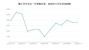 镇江市11月汽车销量 Model Y排名第一(2022年)