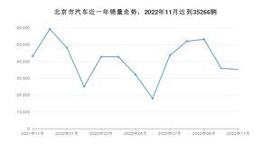 北京市11月汽车销量统计 Model Y排名第一(2022年)