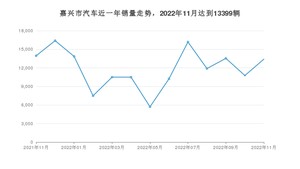 11月嘉兴市汽车销量数据统计 Model Y排名第一(2022年)