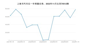 11月上海市汽车销量数据统计 Model Y排名第一(2022年)