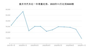 重庆市11月汽车销量 Model Y排名第一(2022年)