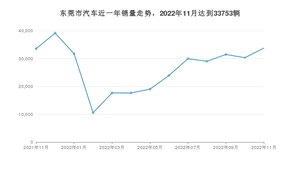 东莞市11月汽车销量数据发布 Model Y排名第一(2022年)