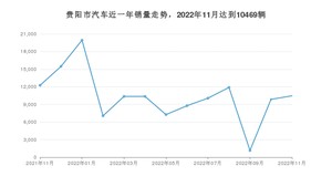 贵阳市11月汽车销量数据发布 Model Y排名第一(2022年)