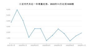 三亚市11月汽车销量统计 Model Y排名第一(2022年)