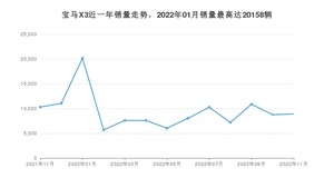 2022年11月宝马X3销量数据发布 共卖了8900台