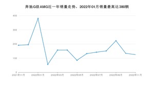 2022年11月奔驰G级AMG销量多少？ 在哪个城市卖得最好？