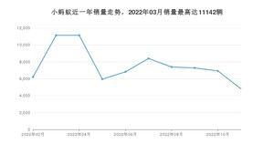 2022年11月奇瑞小蚂蚁销量多少？ 在哪个城市卖得最好？