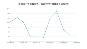 2022年11月大众蔚揽销量数据发布 共卖了41台