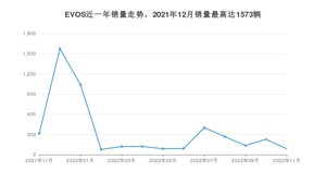 2022年11月福特EVOS销量多少？ 在哪个城市卖得最好？