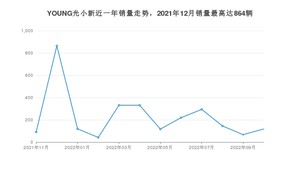 2022年11月电动屋YOUNG光小新销量多少？ 在自主车中排名怎么样？