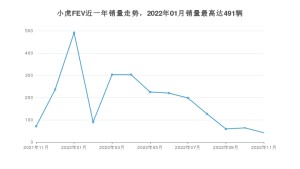2022年11月小虎FEV销量数据发布 共卖了42台