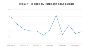 2022年11月思皓X4销量多少？ 在哪个城市卖得最好？