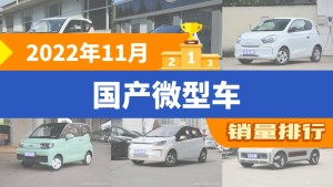 2022年11月国产微型车销量排行榜，宏光MINI EV以29701辆夺冠，YOUNG光小新升至第9名 
