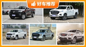 5座皮卡13万左右哪款好？要大空间，还要动力强，购车指数为你指路