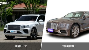 添越PHEV/飞驰新能源全面对比 哪款车的销量更高？