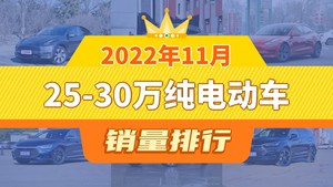 2022年11月25-30万纯电动车销量排行榜，Model Y以51904辆夺冠