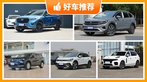 6座中大型SUV30万左右哪款好？要大空间，还要动力强，购车指数为你指路