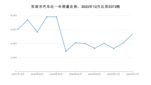 芜湖市12月汽车销量 小蚂蚁排名第一(2022年)