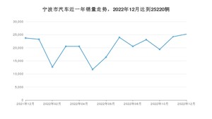 宁波市12月汽车销量数据发布 Model Y排名第一(2022年)