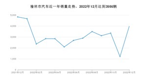 12月榆林市汽车销量数据统计 RAV4荣放排名第一(2022年)