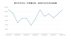 12月嘉兴市汽车销量情况如何? 雅阁排名第一(2022年)