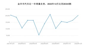 金华市12月汽车销量数据发布 Model Y排名第一(2022年)