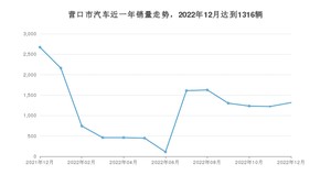 营口市12月汽车销量统计 宋PLUS新能源排名第一(2022年)