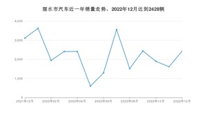 丽水市12月汽车销量数据发布 哪吒V排名第一(2022年)